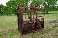 RED CATTLE FOOT TRIMMING CRUSH - 2