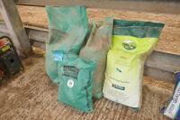 4 BAGS OF GRASS SEED - 2