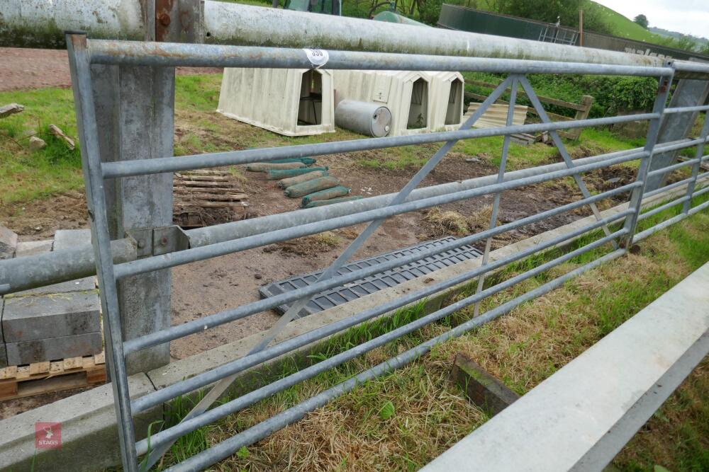 10' GALVANISED FIELD GATE