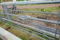 10' GALVANISED FIELD GATE - 5