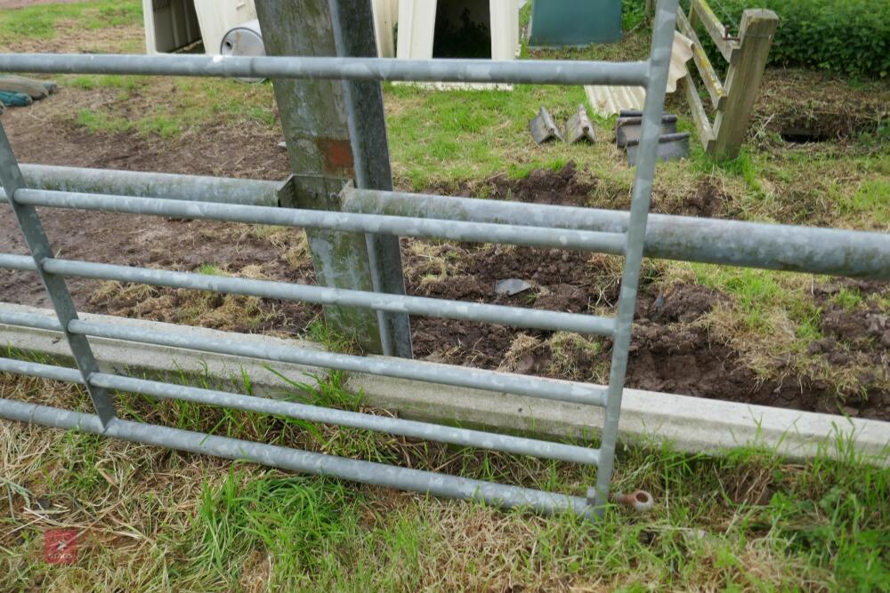 11' GALVANISED FIELD GATE