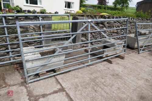 10'2" GALVANISED FIELD GATE