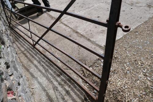 11' METAL GATE