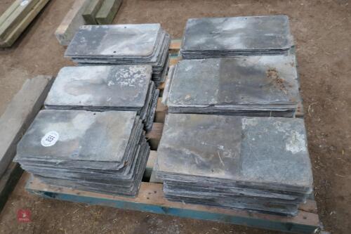 250 USED SLATE TILES