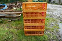 10 ORANGE POULTRY CRATES - 4