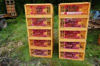 10 ORANGE POULTRY CRATES - 6