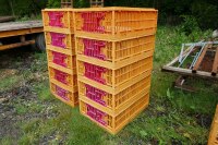 10 ORANGE POULTRY CRATES - 7