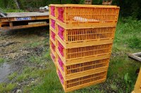 10 ORANGE POULTRY CRATES - 8