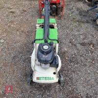 HONDA GCV ELESIA LAWNMOWER - 3