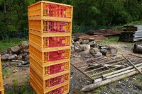 10 ORANGE POULTRY CRATES - 6