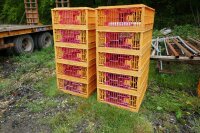 10 ORANGE POULTRY CRATES