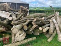 STACK OF HARDWOOD - 2