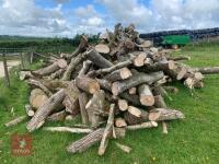 STACK OF HARDWOOD - 3