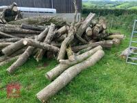 STACK OF HARDWOOD - 4