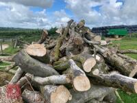 STACK OF HARDWOOD - 6