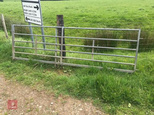 IAE 10' 6 BAR SHEEP HURDLE/BARRIER