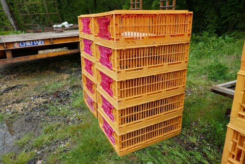 10 ORANGE POULTRY CRATES