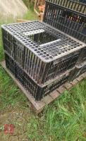 3 LARGE CHICKEN CRATES