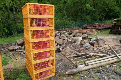 7 ORANGE POULTRY CRATES