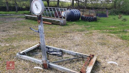 CATTLE WEIGH SCALES