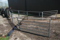 UNISTOCK 6M TRAILED CATTLE CRUSH - 12