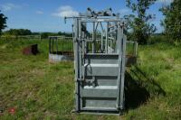 BATEMAN GALVANISED CATTLE CRUSH - 2