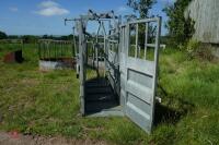 BATEMAN GALVANISED CATTLE CRUSH - 8