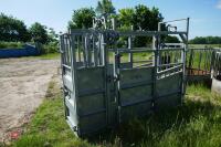 BATEMAN GALVANISED CATTLE CRUSH - 10