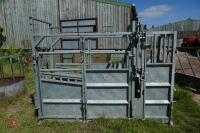 BATEMAN GALVANISED CATTLE CRUSH - 14