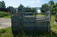 BATEMAN GALVANISED CATTLE CRUSH - 16