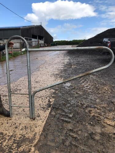 12 X COW CUBICLES