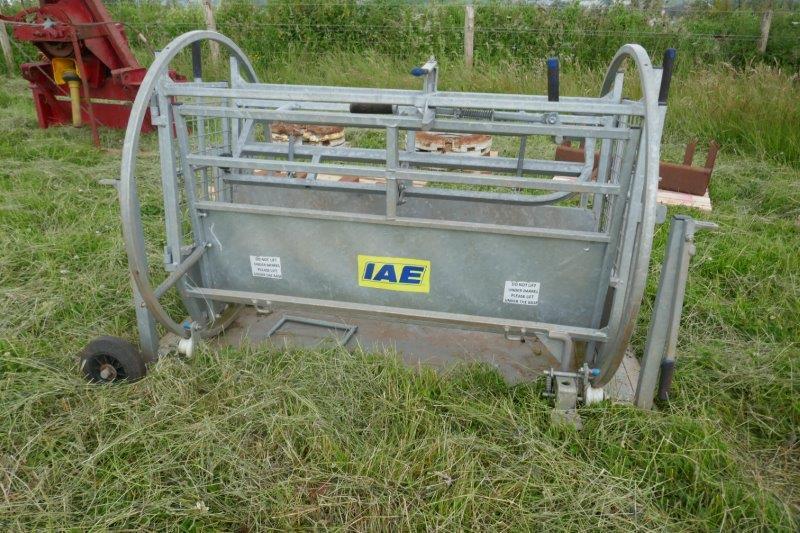 IAE GALV SHEEP TURNOVER CRATE