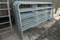 8 X 10' L X 5' CATTLE HANDLING BARRIERS - 3