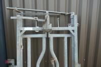 CATTLE HANDLING RACE YOKE - 3