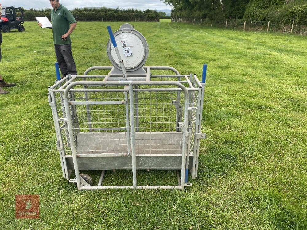 IAE LAMB WEIGH SCALES