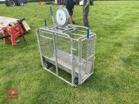 IAE LAMB WEIGH SCALES - 4