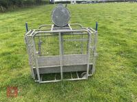 IAE LAMB WEIGH SCALES - 6