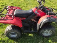 SUZUKI OZARK 250 2WD ATV / QUAD BIKE - 4