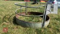 SHEEP RING FEEDER - 2