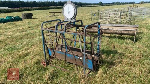 SALTER LAMB WEIGH SCALES