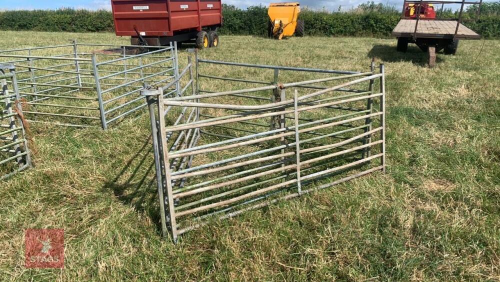 4 X 6’ SHEEP HURDLES