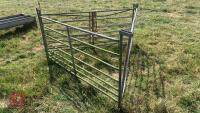 4 X 6’ SHEEP HURDLES - 3