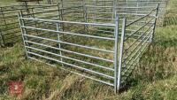 5 X 6’ SHEEP HURDLES - 3