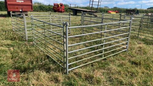 4 X 6’ SHEEP HURDLES