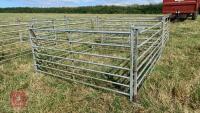 4 X 6’ SHEEP HURDLES - 2