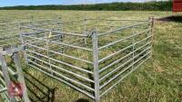 4 X 6’ SHEEP HURDLES