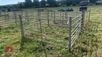 4 X 6’ SHEEP HURDLES - 3