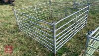 4 X 6’ SHEEP HURDLES - 4