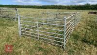 4 X 6’ SHEEP HURDLES - 2