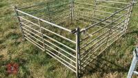 4 X 6’ SHEEP HURDLES - 3